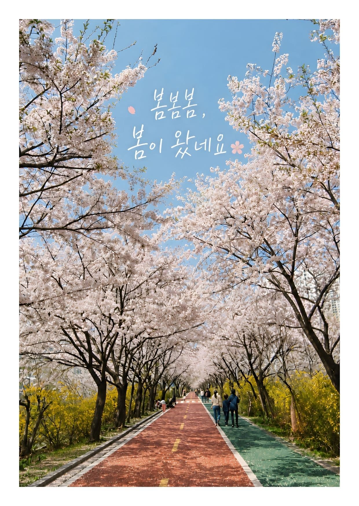 봄봄봄, 봄이 왔네요